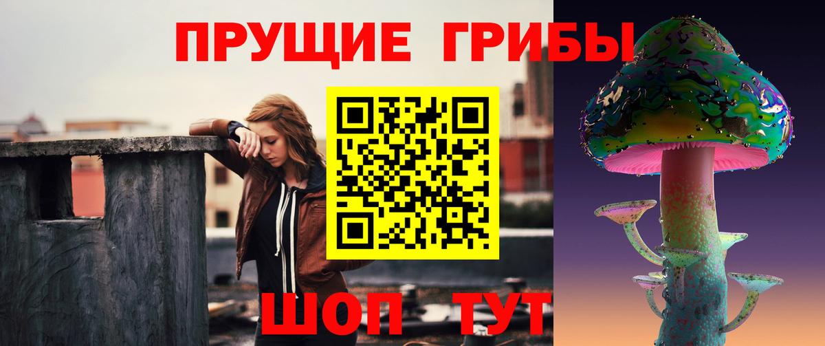 где купить наркоту  Псилоцибиновые грибы GOLDEN TEACHER  Вход с VPN  Дзержинский 